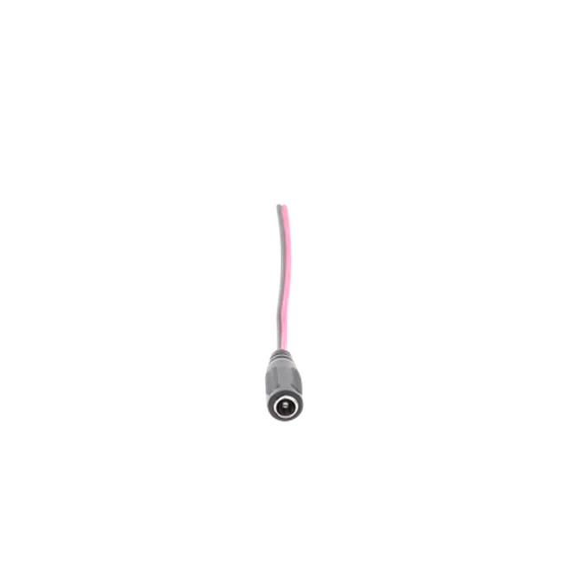 101505581 p