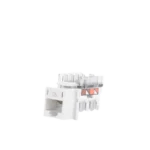 Adaptador jack telefonico Cat 6 (8 pin) Phone - Image 3