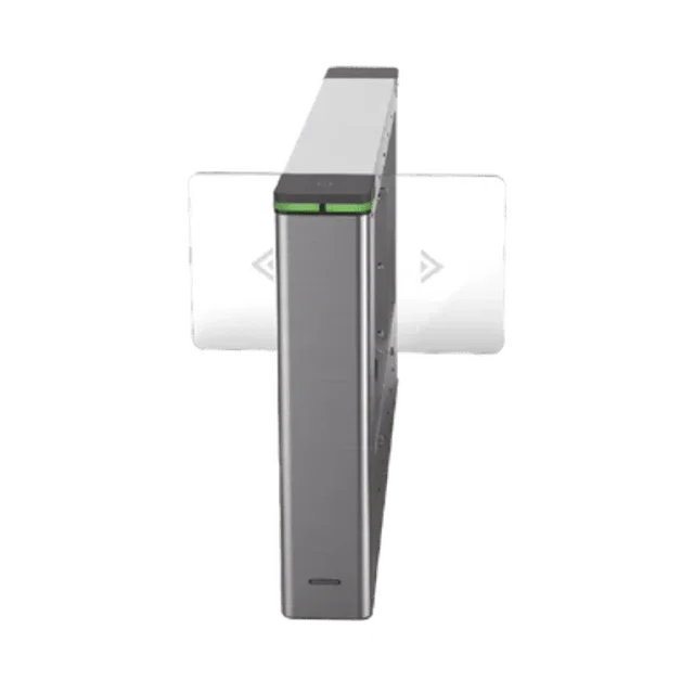 DSK3B501SXM MPGDP65 ESDM 8941