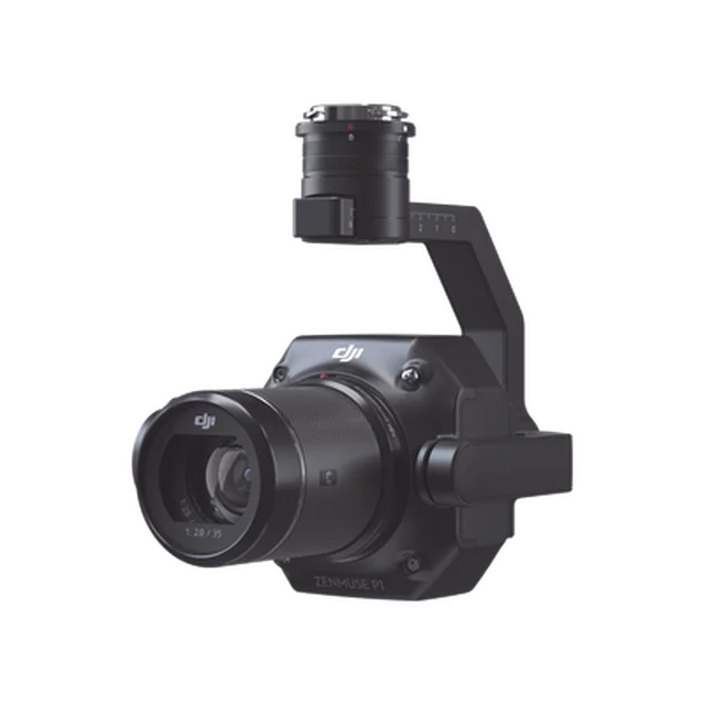 ZMP1 p