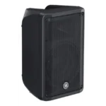 Altavoz Pasivo de 2 vías | Woofer 10''  | 8ohms | Color Negro | 350W | Ideal para Instalación y Live - Image 2
